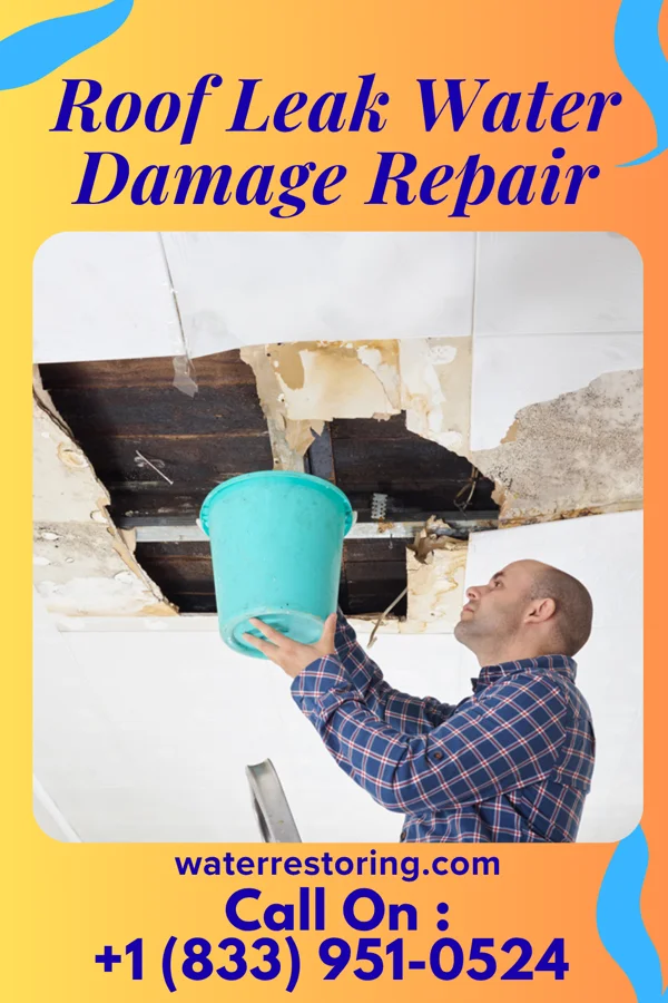 Roof Leak Water Damage Repair in Bridgeport, KS
