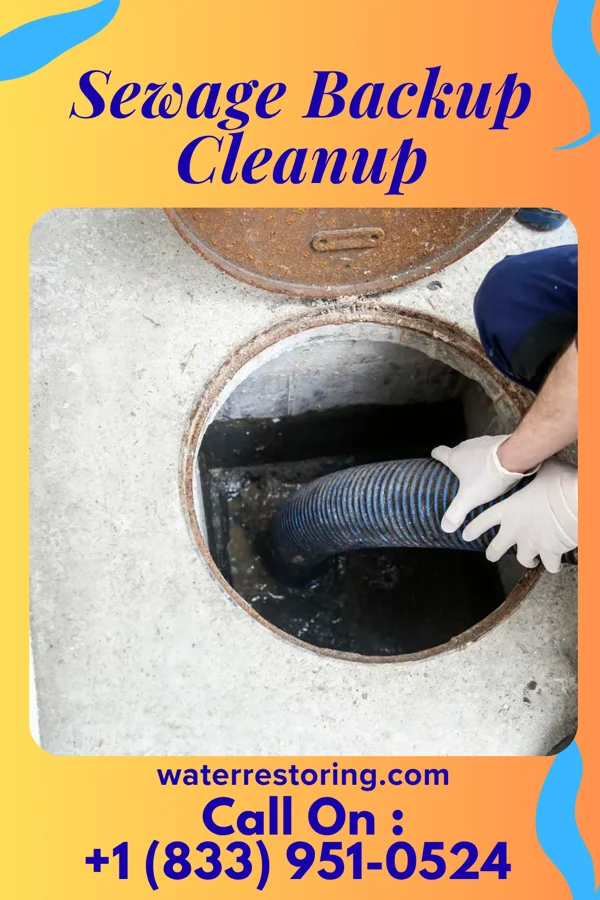 Sewage Backup Cleanup in Bridgeport, KS
