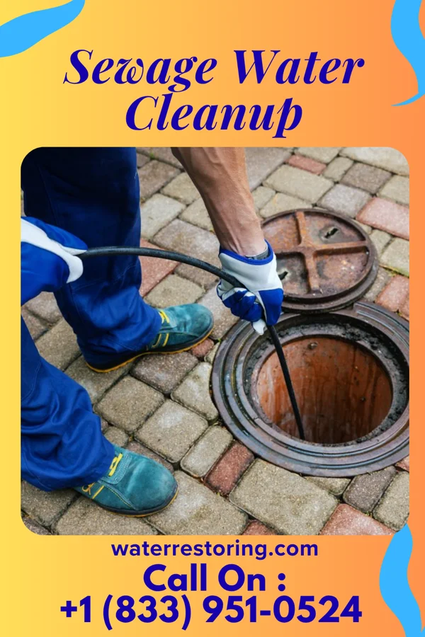 Sewage Water Cleanup in Bridgeport, KS
