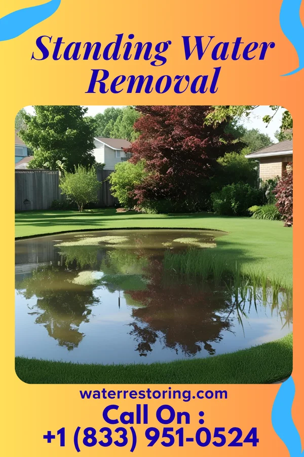 Standing Water Removal in Bridgeport, KS
